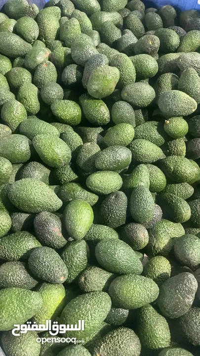 مشروع تجاري مربح بحاجه لتمويل