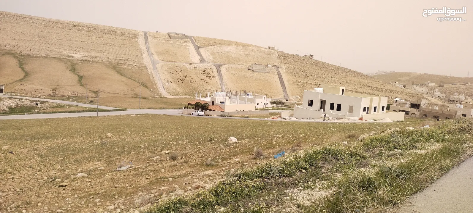 جريبا جوفة ذياب