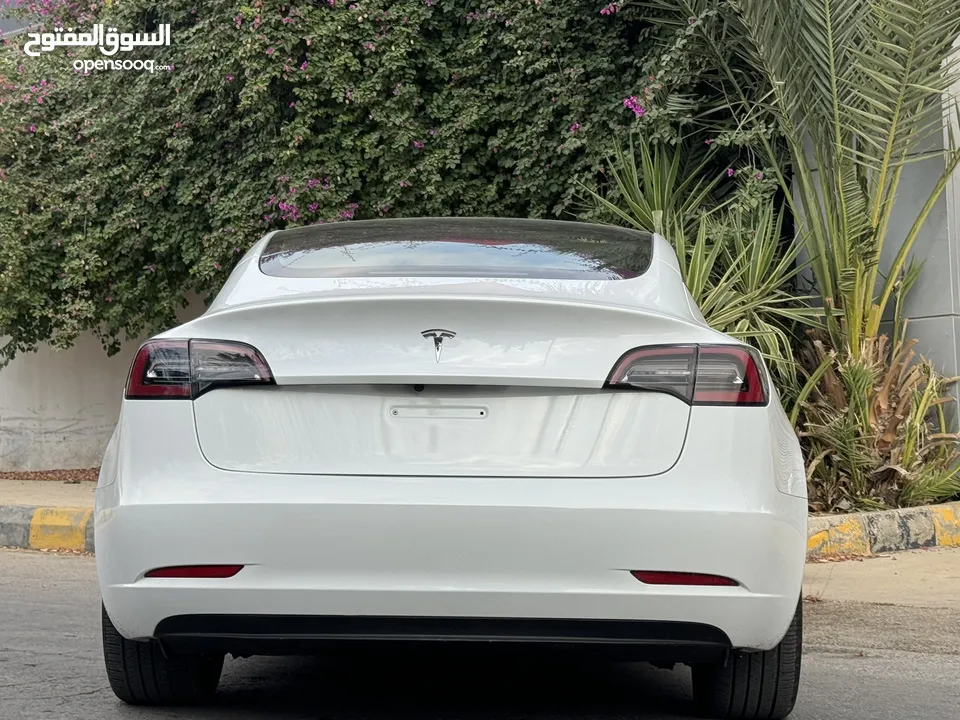 كلين تايتل Tesla 3 2023