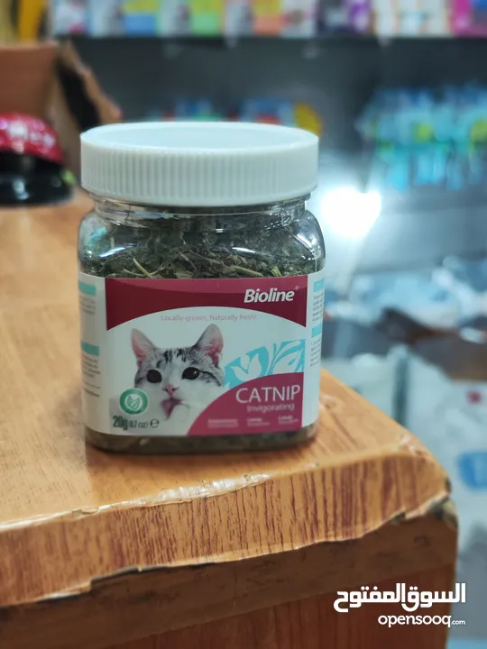 يا صاحبي! يبدو أن قطتك في طريقها لقضاء وقت ممتع! هل سبق لك أن جربت زراعة النعناع البري الخاص بك؟