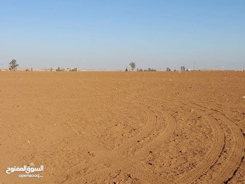 مادبا ماعين مشرفه المرعاوي  قطعة ارض زراعية مميزة  ذات اطلالة على البحر الميت واصل الخدمات 4150 متر