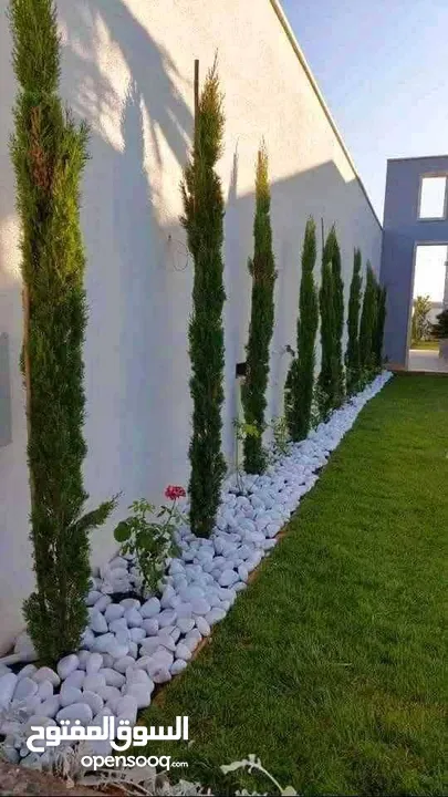 مؤسسة ومشاتل رويد لتنسيق الحدائق