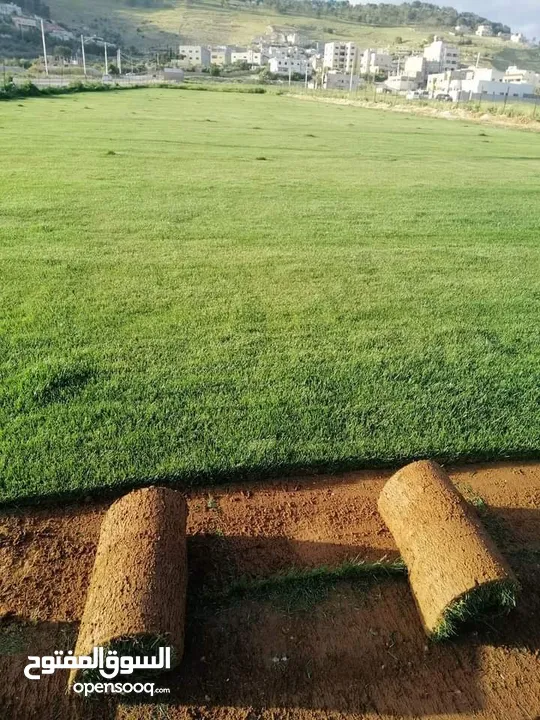 نجيل طبيعي وصناعي