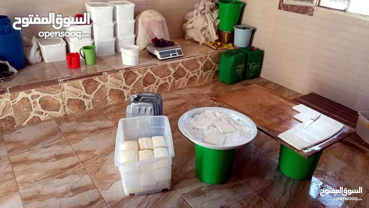 مطلوب شريك ممول لمعمل اجبان  يعمل بشكل جيد