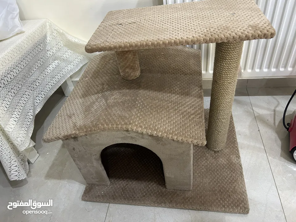 منزل قطط جديد
