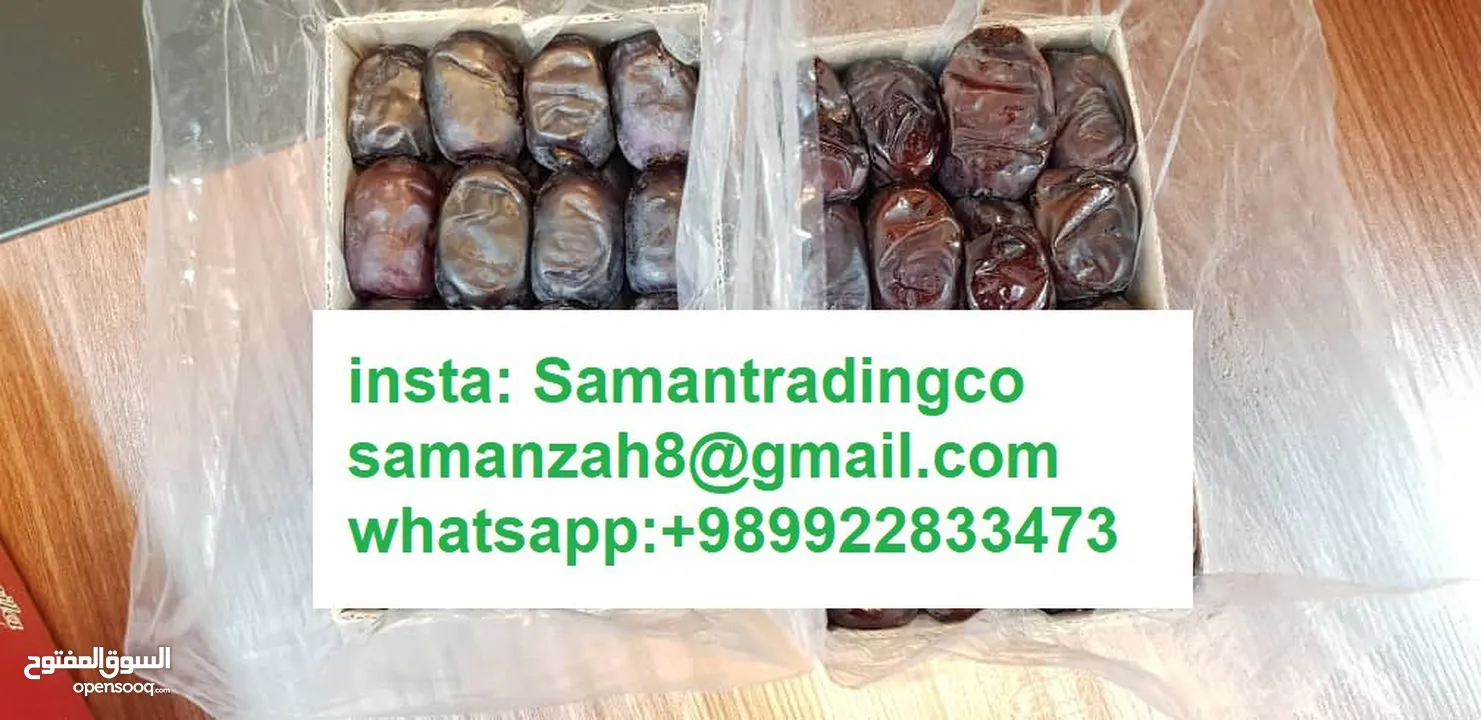 النخيل والتمور Mazafati Dates رطب مضافتی