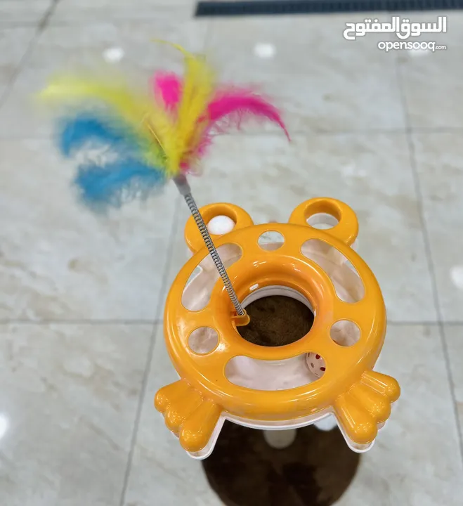 العاب قطط مع خداشة