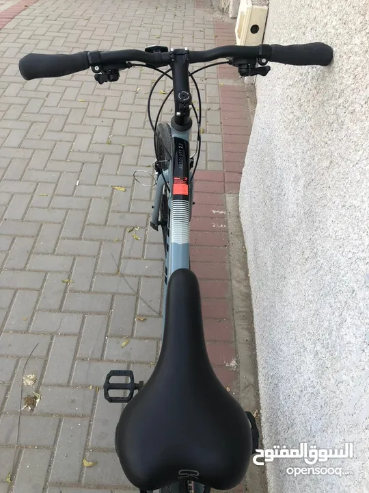 Fuji bicycle, Absolute you 2.1