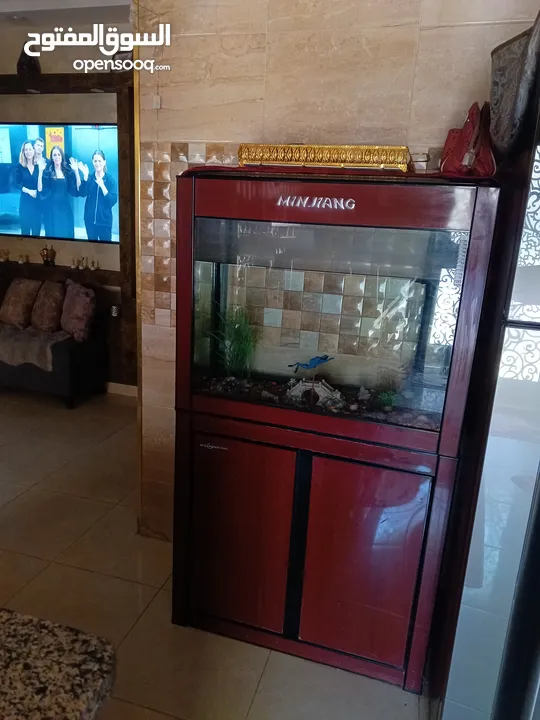 حوض سمك ...