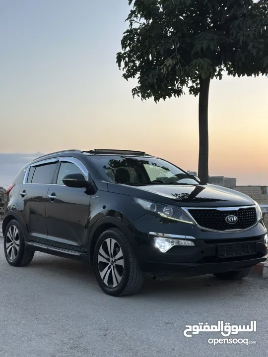 احمد سامي سليط