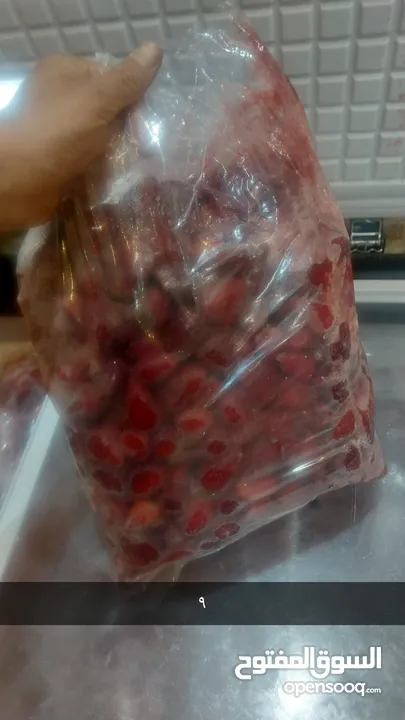 فروله فرش مفرزه