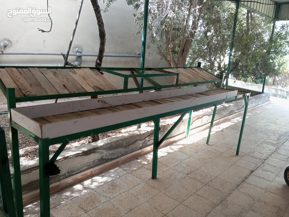 ستاندات خضرة