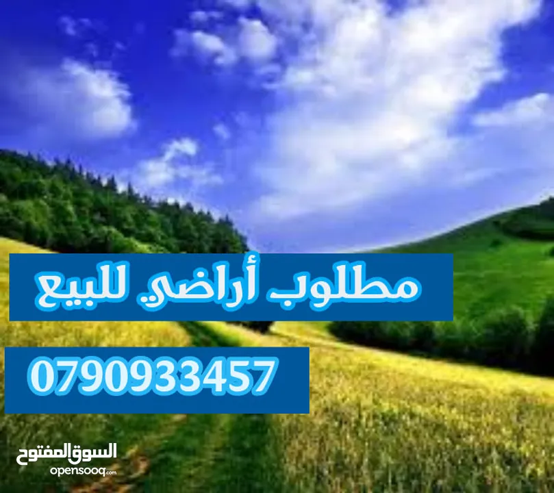 مطلوب أرض في الجيزة جنوب عمان و كافة مناطق عمان والغور والبحر الميت