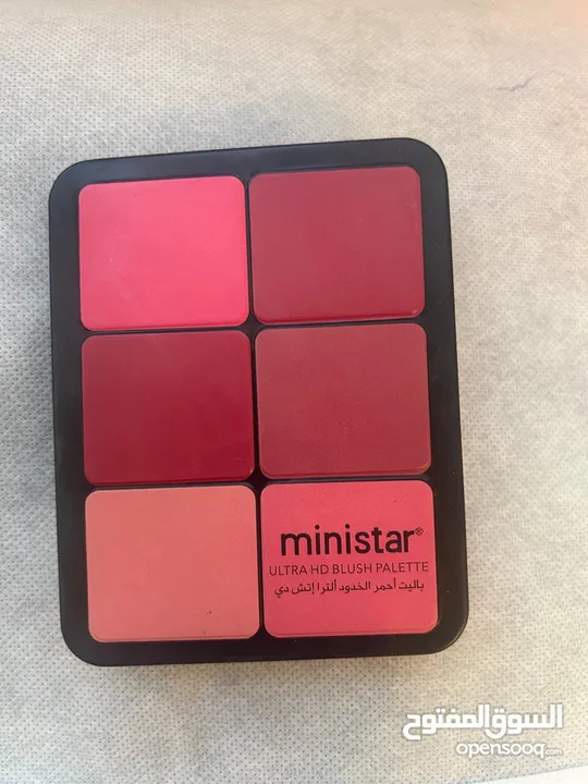 MiniStar Blush Palette