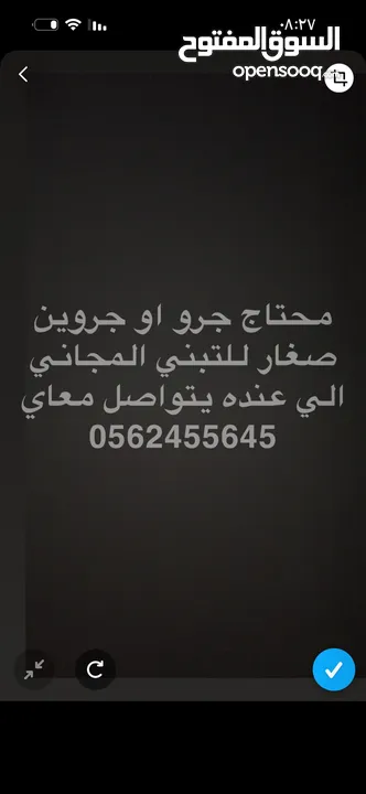 الي عنده حراري للتبني المجاني يكلمني لو سمحته واحد او اثنين