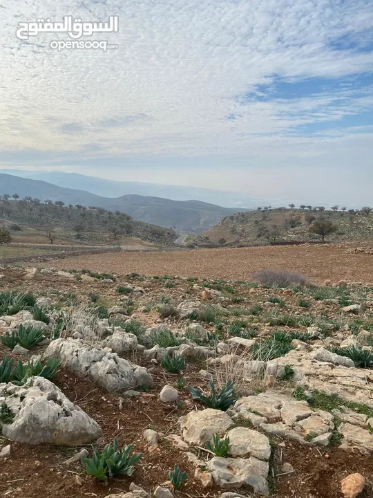 14 قطعة أرض في أجمل مناطق كفرنجه في عجلون