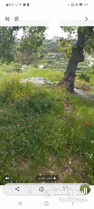 ارض للبيع  مساحة 620 متر مربع