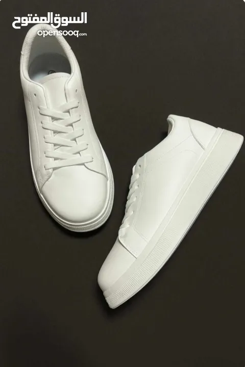 البيع بالجملة فقط