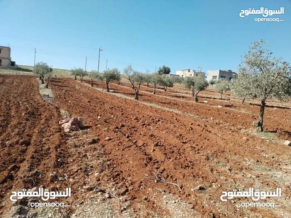 ارض للبيع مساحه 3400م قوشان مستقل مفروووز