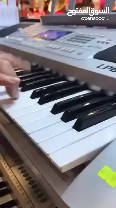 اورغ غربي شرقي