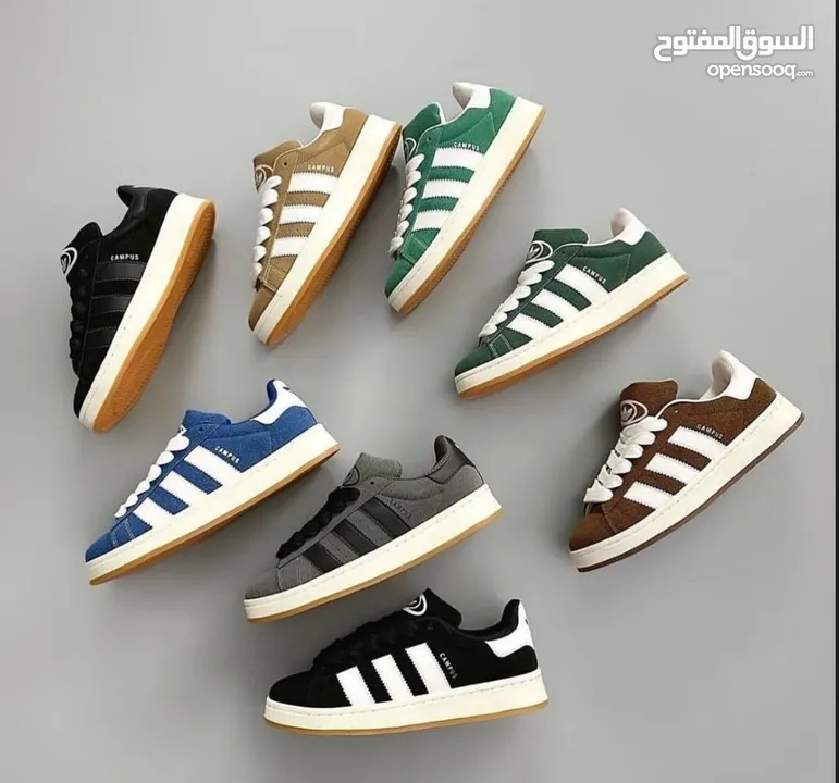 Adidas Campus (All sizes and All colours)