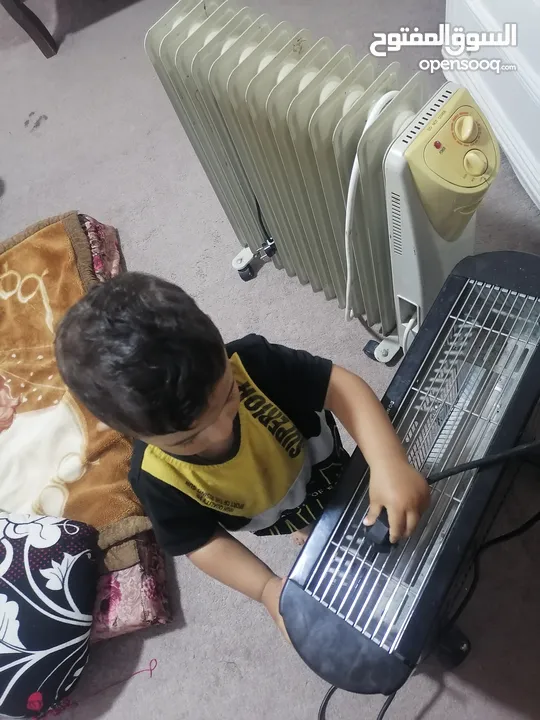 صوبات كهربه + بدايه زيبرا