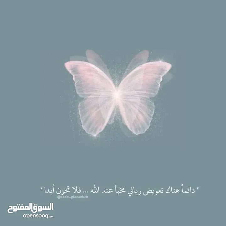 ورشة المؤمن للتمديدات الصحيه والصيانه العامه باشكالها