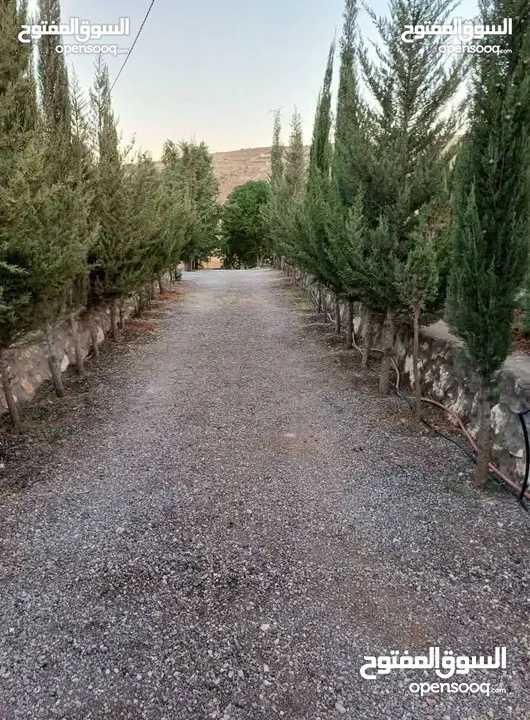 فرصه لا تفوتها شاليه ومزرعه جاهزه