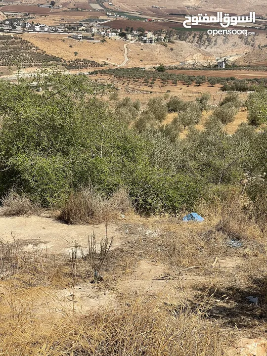 ارض في الباذان تصنيف A طابو عصيره الشماليه