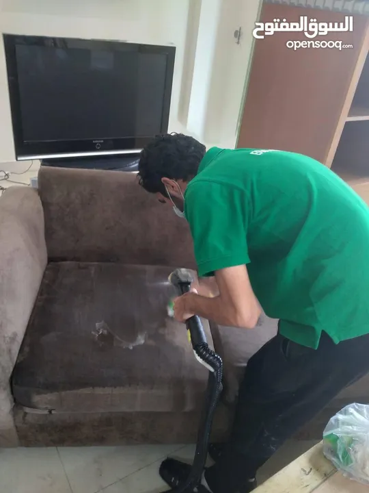 Bibi cleaning