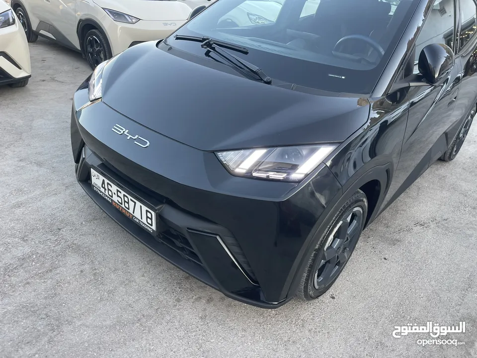 بي واي دي سيجول موديل 2023  كاش او اقساط