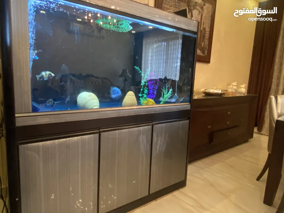 حوض سمك كبير مع كانستر وسمك احجام كبيرة
