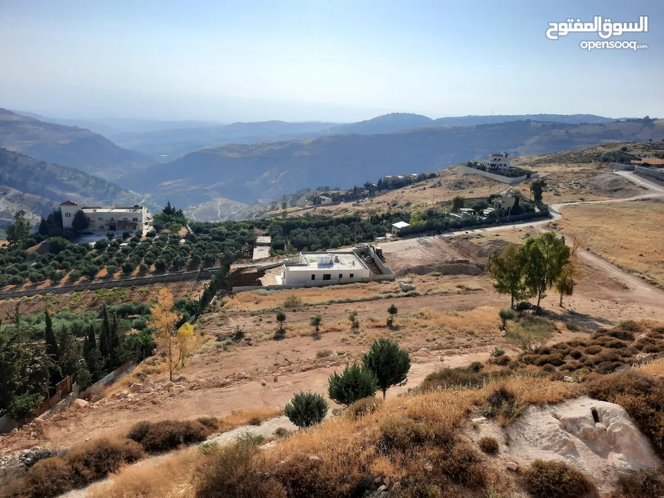 اراضي مميزة للبيع في عمان - ناعور - عيون الجاموس