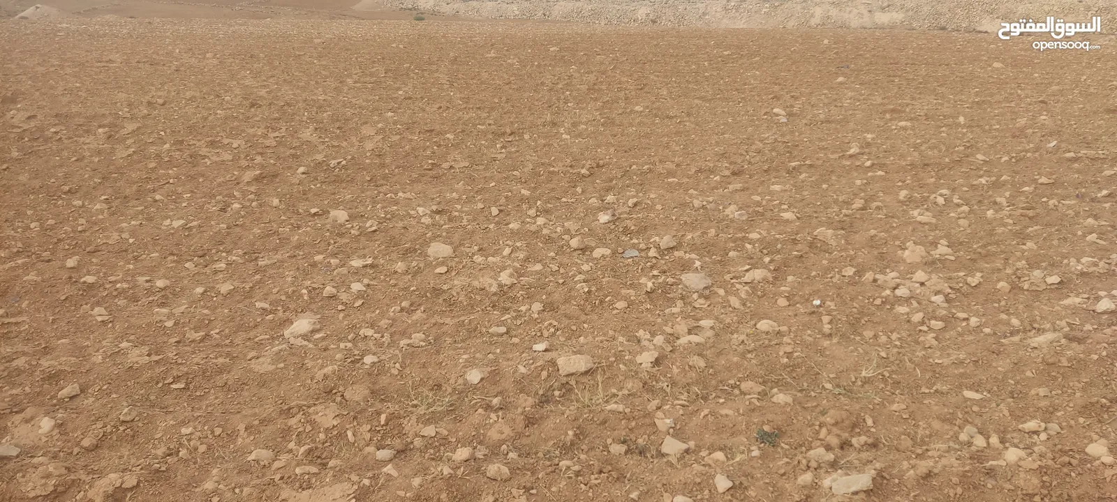 1250 متر للبيع بداعي السفر