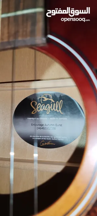 Seagull Entourage Autumn Burst Acoustic guitar – For Sale/Trade to any electronic items