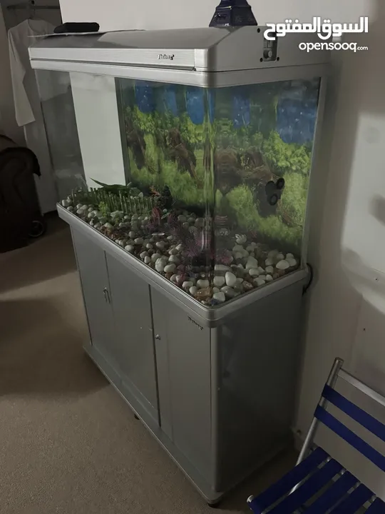 Fish aquarium large