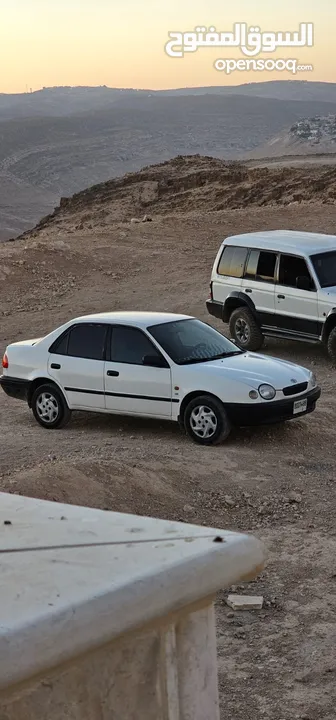 تيوتا قرش ونص