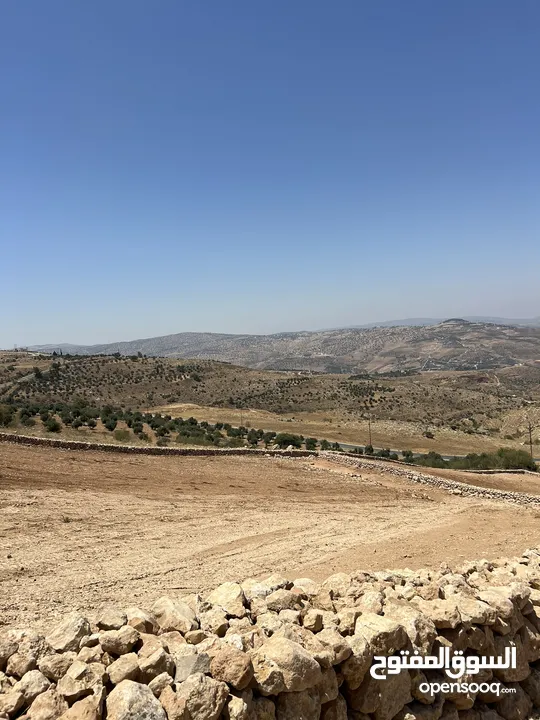 ارض للبيع جرش عنيبه منطقة شاليهات ومزارع 3500متر بقوشان مستقل مسنسله