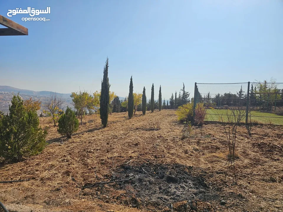 Farm for sale