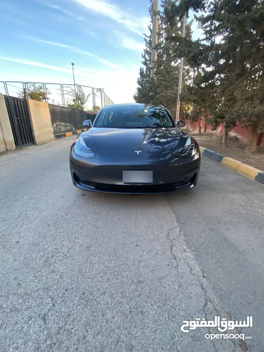 تيسلا مودل 3 استاندر بلس حره 2021 كاش او اقساط
