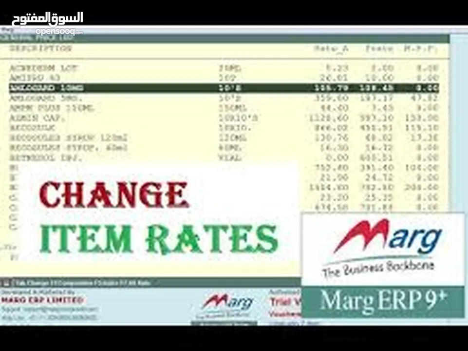 MargERP9+ For All Business Fields and Type, Pharmacies, Manufacturing, Accounting, and more!