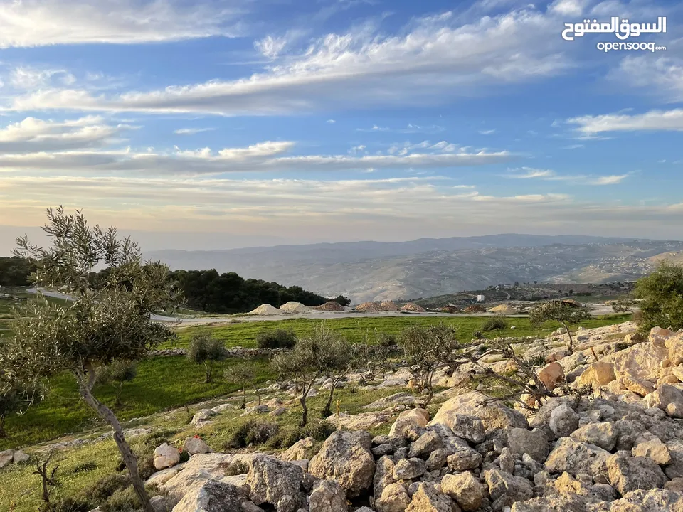 من المالك مباشرة، فرصة استثمارية، زبود باطلالة رائعة, ، ناعور، تلة زبود  12 دونم ونصف