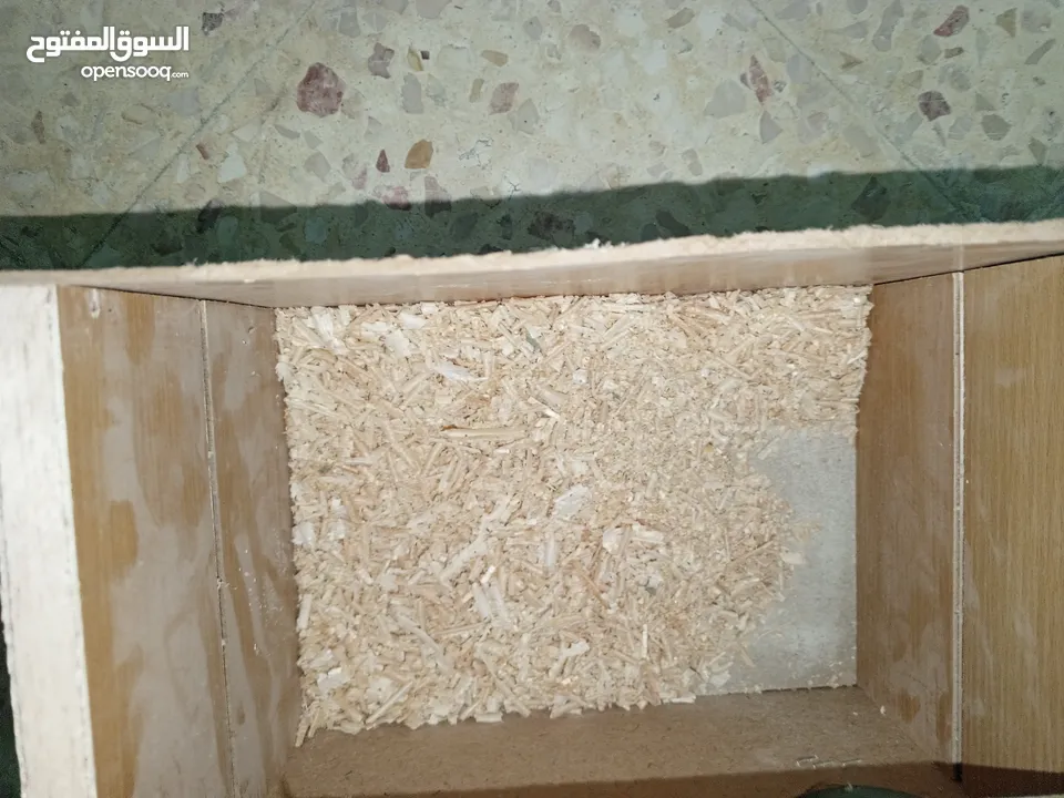 لعشاق الزق اليدوي