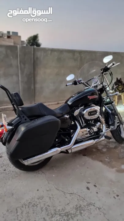 Harley-Davidson 1200customer 2015