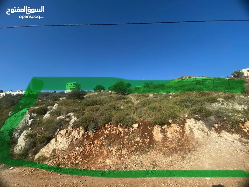 ارض للبيع في نابلس الجديدة