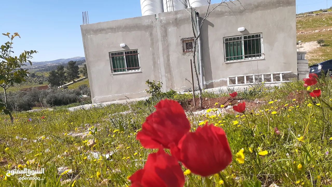 مزرعه 3400 م مع بيت ريفي للبيع شرق جرش  دحل المدور  حمامه