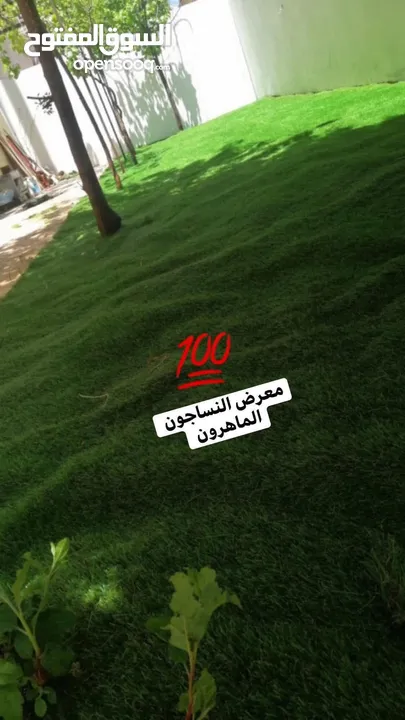 عشب صناعي لكل الاستخدامات باقل سعر في المملكة وأعلى جوده سجاد موكيت باركية
