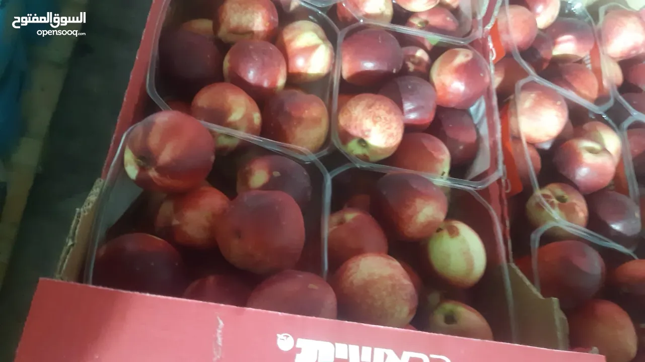 مشروع تجاري مربح بحاجة لتمويل