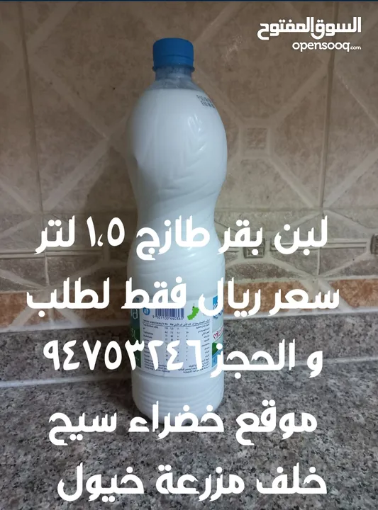 كامي طازج البريمي