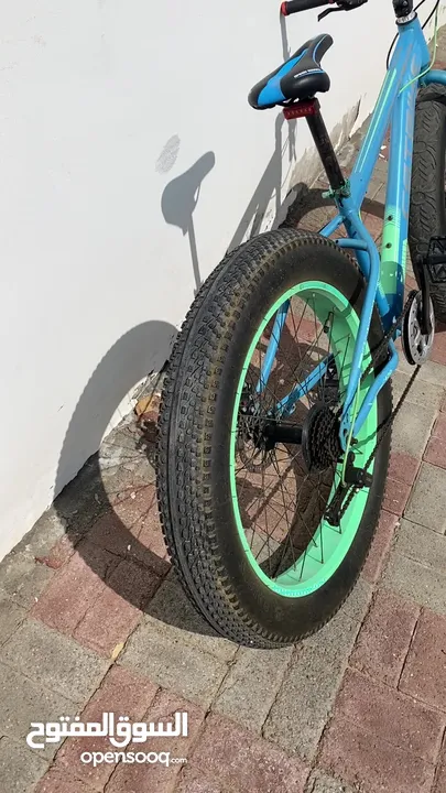 Catbike 27” 2021